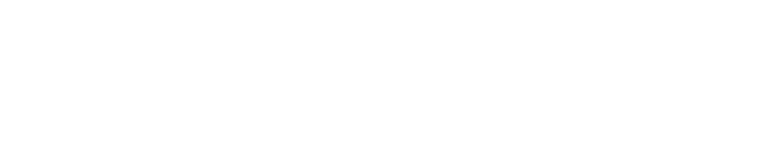 berwyn group logo in white